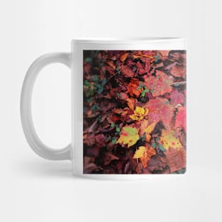 Leaf Spectrum Mug